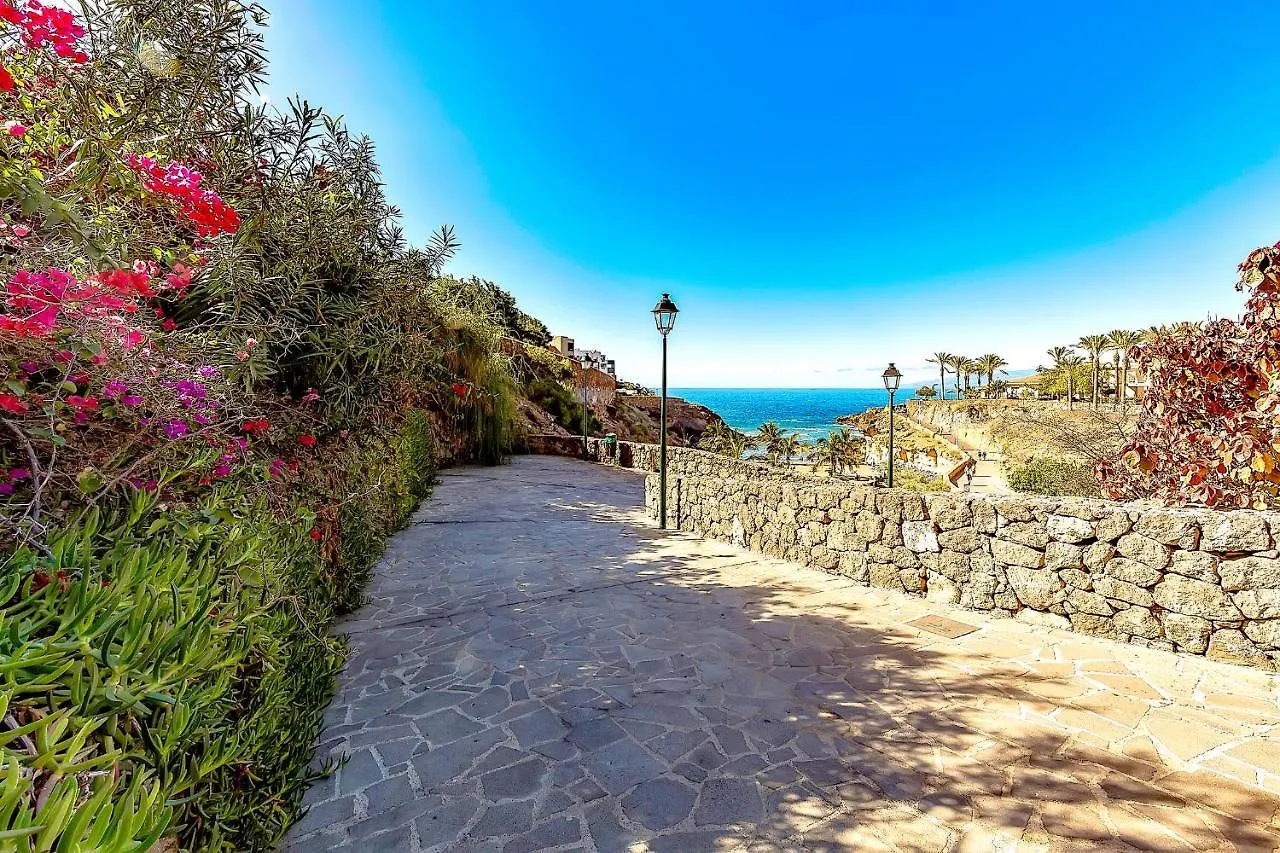 Ocean Garden 2 Bed Apartment Costa Adeje   Costa Adeje (Tenerife)